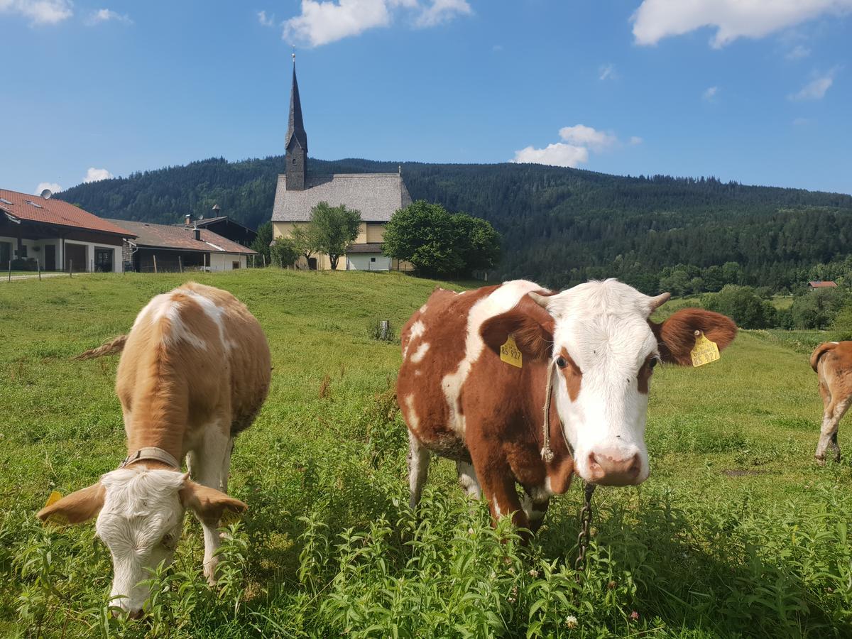 Отель Alpenhotel Gastager Инцелль